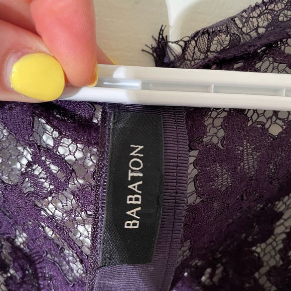 Aritzia Babaton - Tobias Lace Dress (6) - Picture 3 of 4